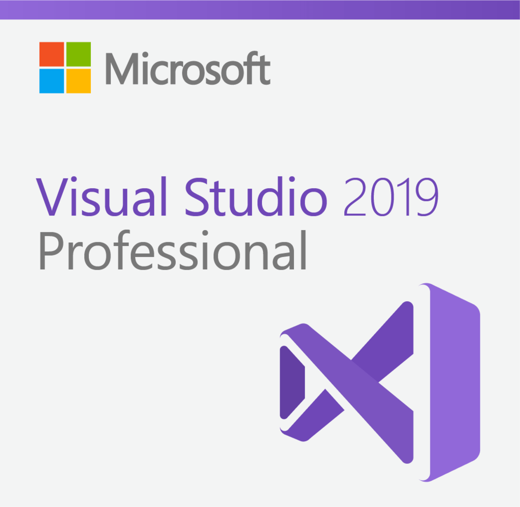 MS_Visual_Studio_2019_Professional_1024x1024-1